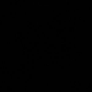 Meet your Posher, Carmen